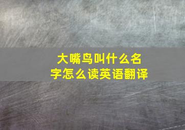 大嘴鸟叫什么名字怎么读英语翻译