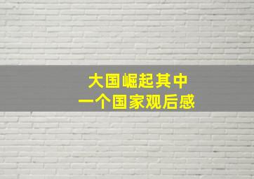 大国崛起其中一个国家观后感