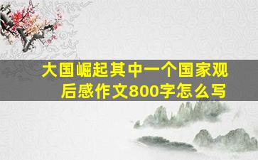 大国崛起其中一个国家观后感作文800字怎么写