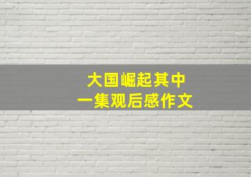 大国崛起其中一集观后感作文