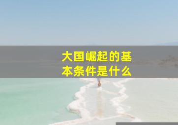 大国崛起的基本条件是什么