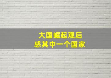 大国崛起观后感其中一个国家