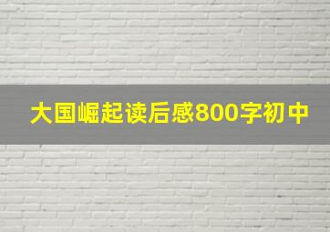 大国崛起读后感800字初中