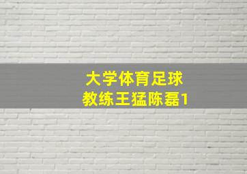 大学体育足球教练王猛陈磊1