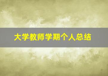 大学教师学期个人总结