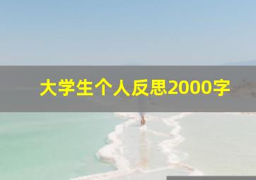 大学生个人反思2000字