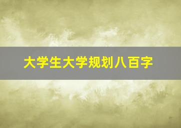 大学生大学规划八百字