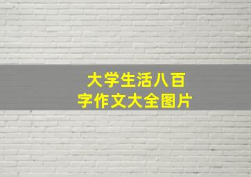 大学生活八百字作文大全图片