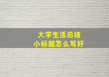 大学生活总结小标题怎么写好