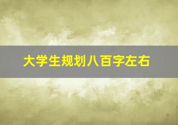 大学生规划八百字左右