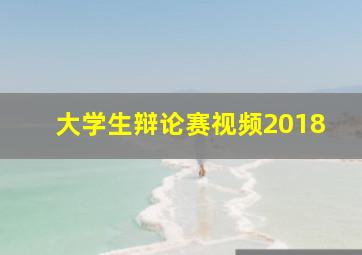 大学生辩论赛视频2018