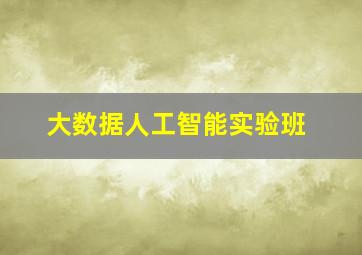 大数据人工智能实验班