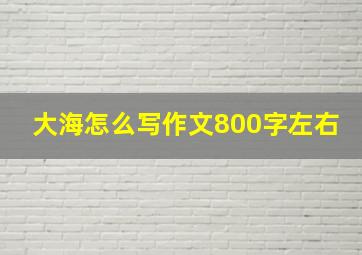 大海怎么写作文800字左右