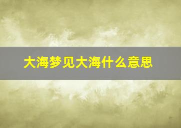 大海梦见大海什么意思