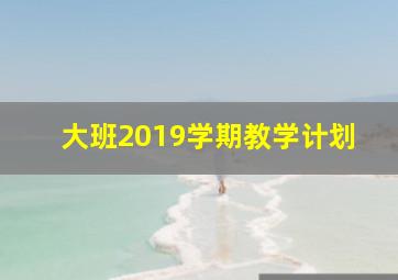 大班2019学期教学计划