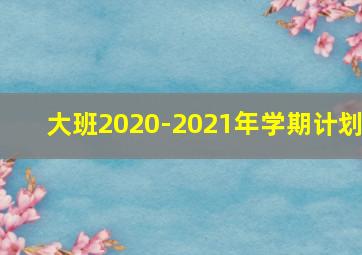 大班2020-2021年学期计划