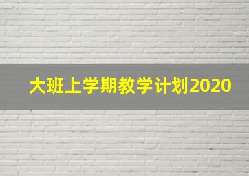 大班上学期教学计划2020