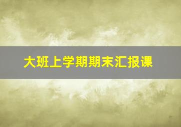 大班上学期期末汇报课