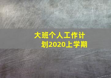 大班个人工作计划2020上学期