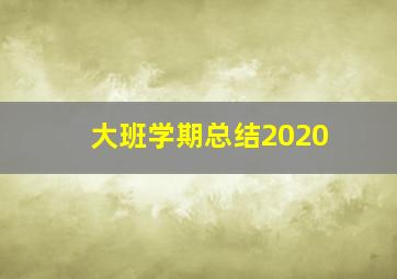 大班学期总结2020