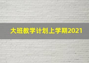 大班教学计划上学期2021