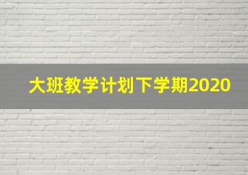 大班教学计划下学期2020