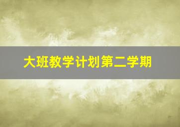 大班教学计划第二学期