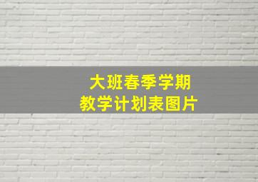 大班春季学期教学计划表图片