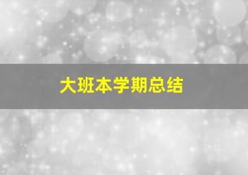 大班本学期总结