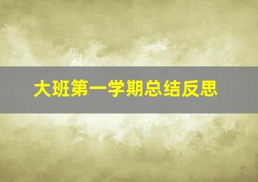 大班第一学期总结反思