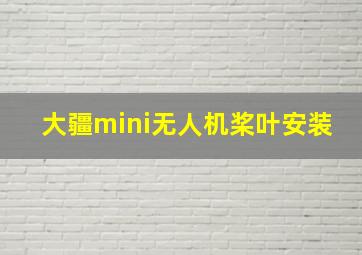 大疆mini无人机桨叶安装