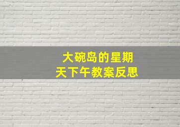 大碗岛的星期天下午教案反思