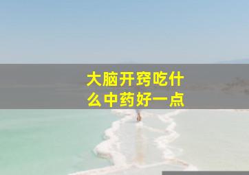 大脑开窍吃什么中药好一点