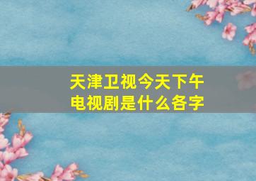 天津卫视今天下午电视剧是什么各字