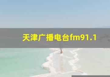 天津广播电台fm91.1