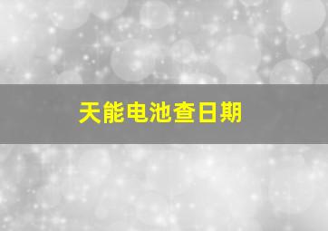 天能电池查日期