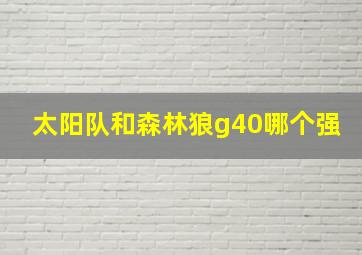 太阳队和森林狼g40哪个强