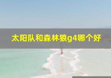 太阳队和森林狼g4哪个好