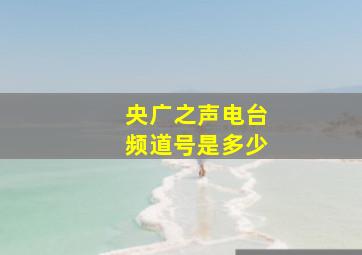 央广之声电台频道号是多少