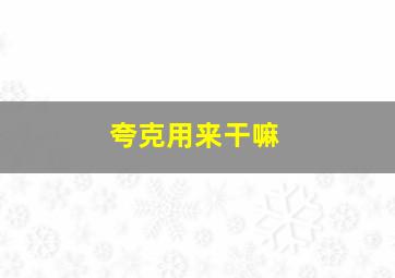 夸克用来干嘛