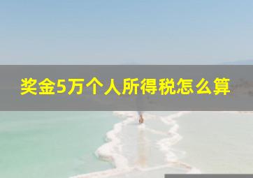 奖金5万个人所得税怎么算