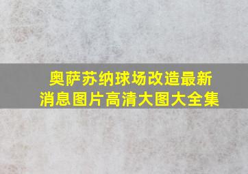 奥萨苏纳球场改造最新消息图片高清大图大全集