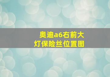 奥迪a6右前大灯保险丝位置图