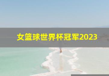 女篮球世界杯冠军2023