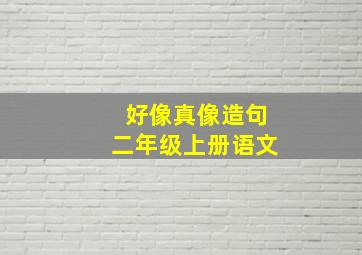 好像真像造句二年级上册语文