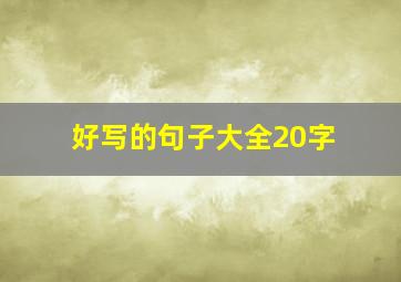 好写的句子大全20字