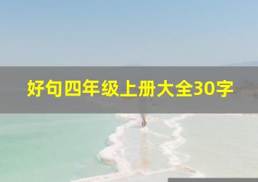 好句四年级上册大全30字