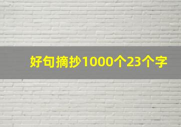 好句摘抄1000个23个字