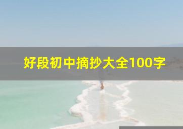 好段初中摘抄大全100字