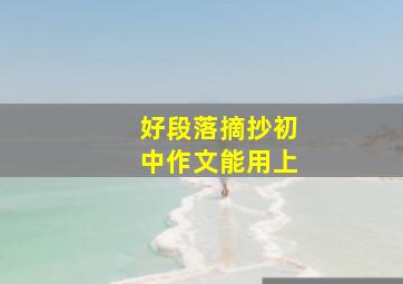 好段落摘抄初中作文能用上